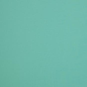 Preview: Swafing Vanessa *NEU Baumwoll Jersey Uni Mint 261